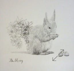 tekening